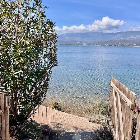 Blue Di Mare 